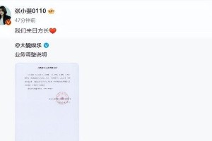 贾玲财富密码：大碗娱乐解散背后的5亿身家真相