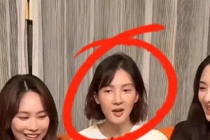 金晨容貌变化引热议：从月牙到医美争议