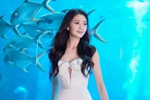 精选图片集锦：视觉盛宴一览