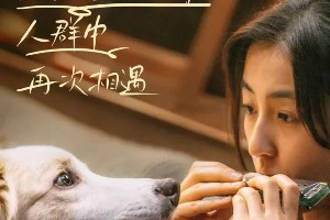 2023十大新生代女演员盘点：张子枫、关晓彤领衔